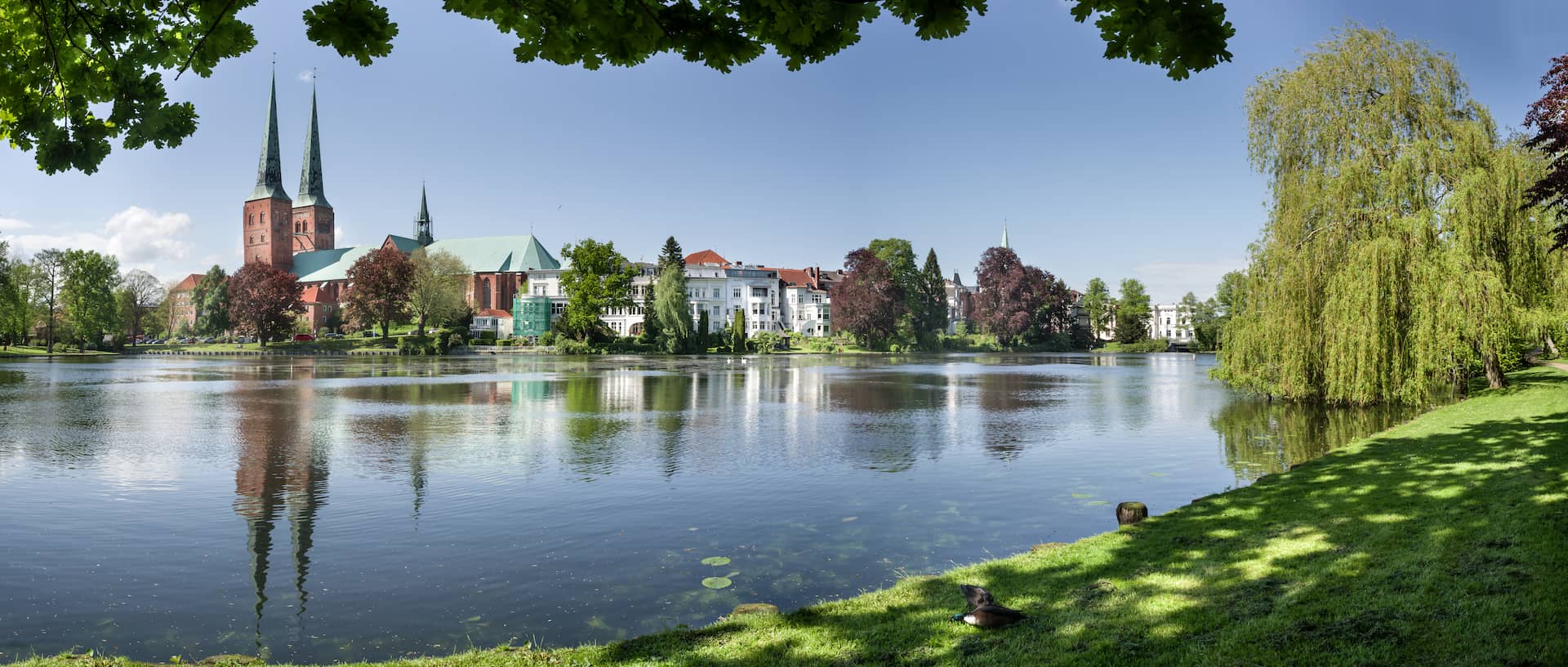 Panorama Lübeck am Mühlenteich Frühling entzerrt